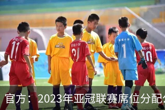 官方：2023年亚冠联赛席位分配公布 中超名额为2+2