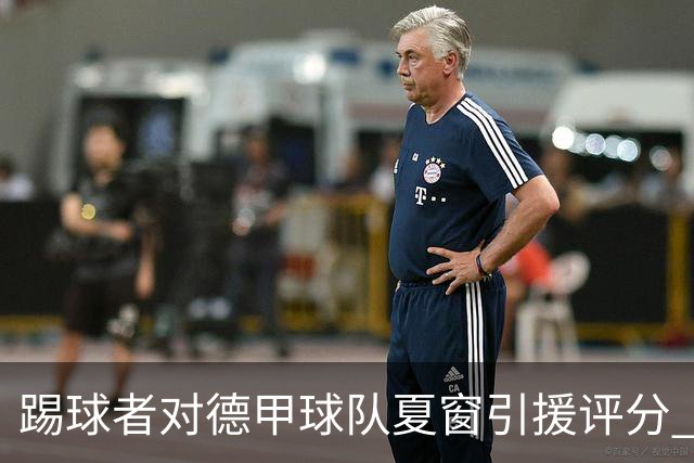 踢球者对德甲球队夏窗引援评分 拜仁第一多特第十